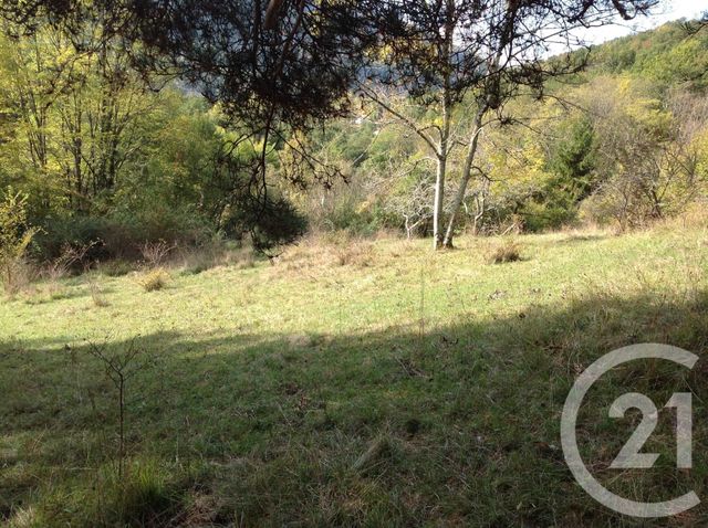 maison à vendre - 8 pièces - 142.0 m2 - ARABAUX - 09 - MIDI-PYRENEES - Century 21 L'Agence maison à vendre - 8 pièces - 142.0 m2 - ARABAUX - 09 - MIDI-PYRENEES - Century 21 L'Agence