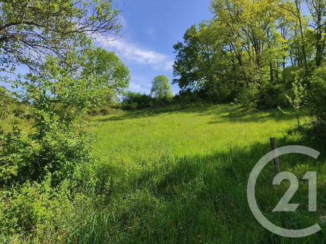 maison à vendre - 8 pièces - 142.0 m2 - ARABAUX - 09 - MIDI-PYRENEES - Century 21 L'Agence maison à vendre - 8 pièces - 142.0 m2 - ARABAUX - 09 - MIDI-PYRENEES - Century 21 L'Agence