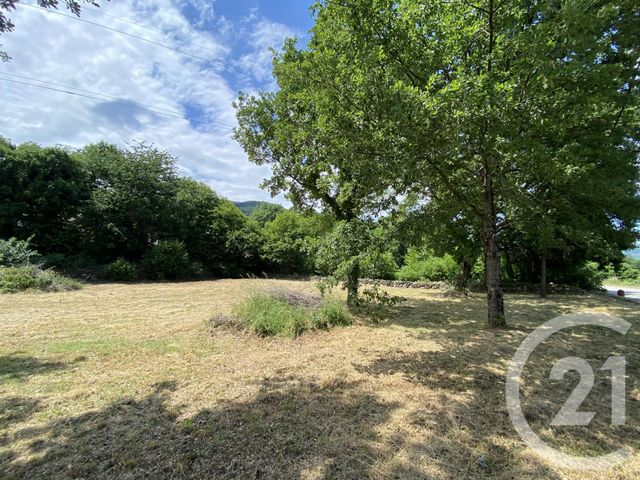 terrain - MONTOULIEU - 09