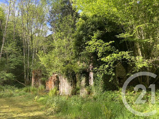 maison à vendre - 8 pièces - 288.0 m2 - CADARCET - 09 - MIDI-PYRENEES - Century 21 L'Agence