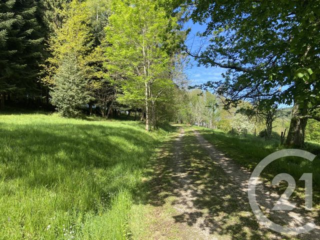 maison à vendre - 8 pièces - 288.0 m2 - CADARCET - 09 - MIDI-PYRENEES - Century 21 L'Agence