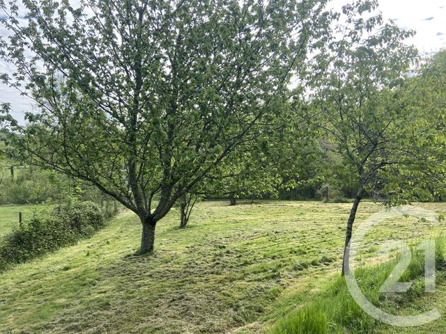 maison à vendre - 8 pièces - 288.0 m2 - CADARCET - 09 - MIDI-PYRENEES - Century 21 L'Agence